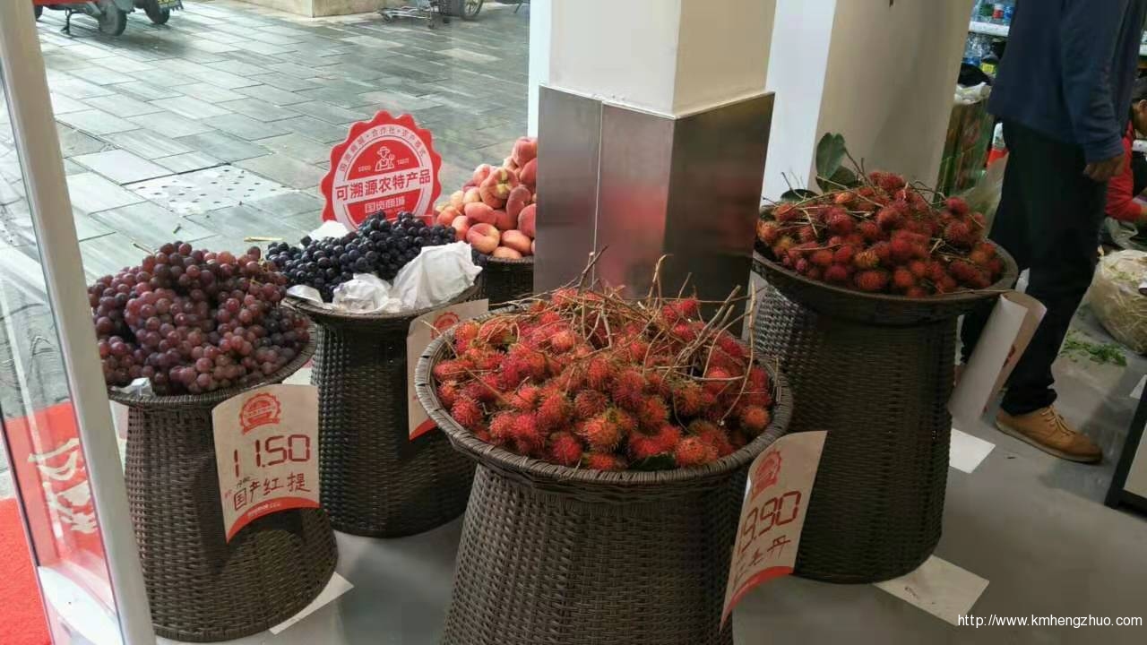 仿藤樹(shù)脂藤框應(yīng)用案例